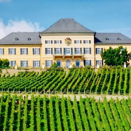 1.0 Relaxen Am Kloster Johannisberg *