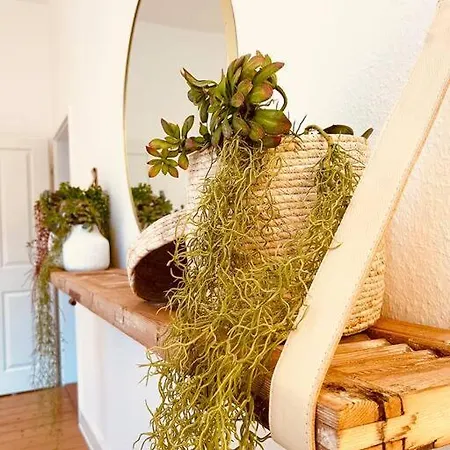 Appartement 1.0 Relaxen Am Kloster Johannisberg Geisenheim