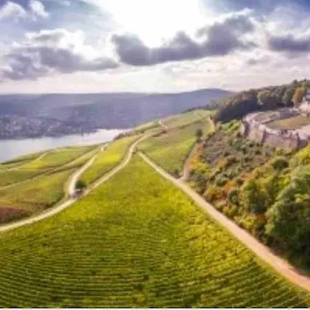 1.0 Relaxen Am Kloster Johannisberg