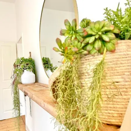 1.0 Relaxen Am Kloster Johannisberg Apartment