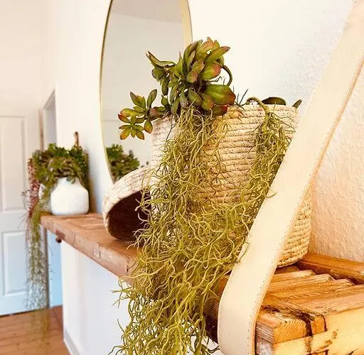 아파트 1.0 Relaxen Am Kloster Johannisberg 가이젠하임