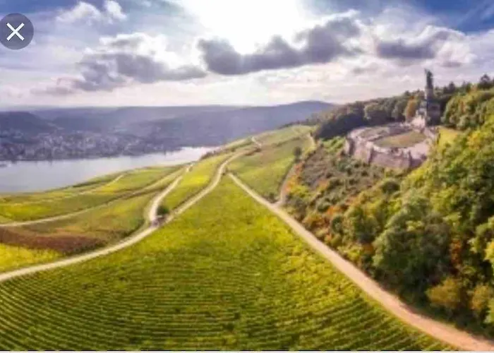 1.0 Relaxen Am Kloster Johannisberg