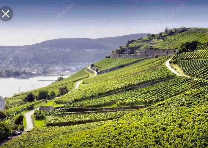 1.0 Relaxen Am Kloster Johannisberg 아파트 *